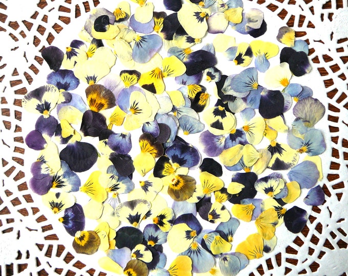Dried Pressed Viola Flower Petals Confetti, Real Dried Mix of Color