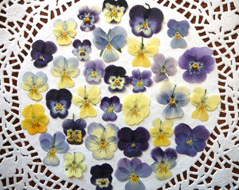 Dried pressed flowers, real dried pansies, pressed violas 20 pcs.