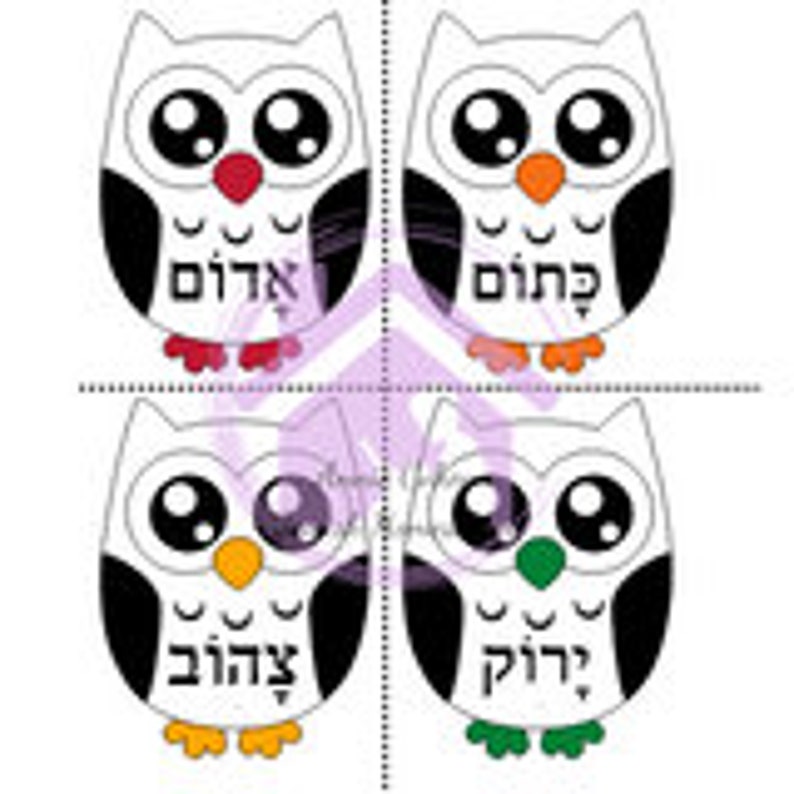 Hebrew Colors Matching Owls Game PDF Etsy