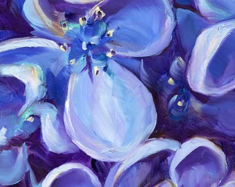 Hydrangea fine art print