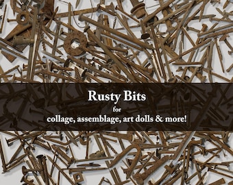 Rusty Bits, assorted pieces, nails, screws, rust dyeing, assemblage, art, sculpture, art dolls, rusted farmhouse, found objects - group 1