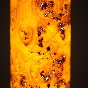wooden floor Lamp Mid Century Modern wood light for Living Room image 10