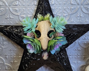 Beaver Skull and Succulent Star, Witchy Decor, Halloween Decor, Altar Decor, Occult Decor, Star Decor, Home Decor, Gothic Decor, Skull Decor