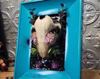 Beaver Skull in Blue Frame, Witchy Decor, Halloween Decor, Altar Decor, Occult Decor, Satanic Decor, Home Decor, Gothic Decor, Skull Decor