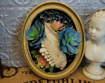 Cow Jaw Oval Frame, Witchy Decor, Halloween Decor, Altar Decor, Occult Decor, Satanic Decor, Home Decor, Gothic Decor, Skull Decor