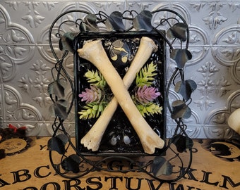 Deer Leg Bones Frame, Table Decor, Gothic Decor, Deer Decor, Horror Decor, Occult Decor, Home Decor, Witchy Decor, Shelf Decor