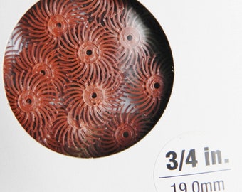 3M Radial Bristle Discs 220 Grit Red 3M Mini Radial Brushes 3//4/" Pack of 48