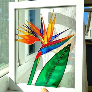 Paradise Bird Glass Painting: Colorful Window Sun Catcher (11x9)