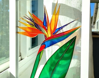 Paradise Bird Glass Painting: Colorful Window Sun Catcher (11x9)