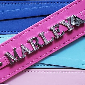 Backpack Tag, Luggage Tag, Custom Backpack Tag, Custom Luggage Tag, Keychain, Personalized Keychain, Carry On Luggage, Personalized Keyring