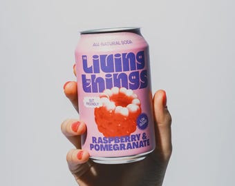 Refrigerante Prebiótico Living Things - Framboesa e Romã
