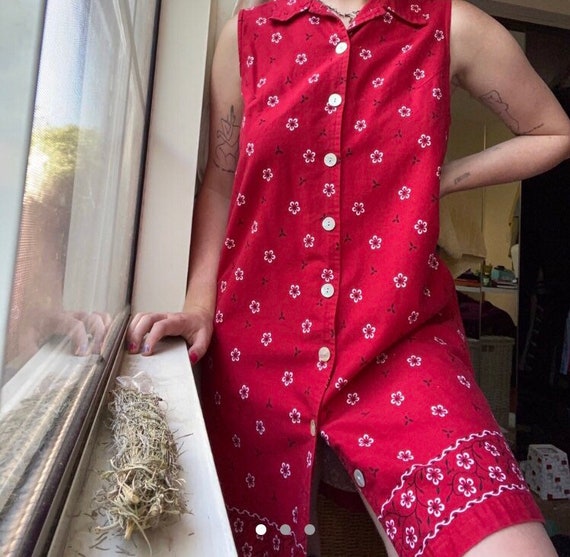 Vintage Red Paisley Dress