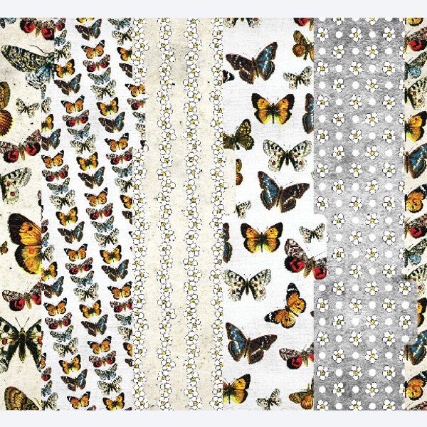 Colorful Butterflies Set of 6 Tabbed Dividers