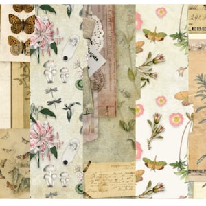 May include: A collage of vintage botanical illustrations featuring dragonflies, butterflies, mushrooms, and flowers. The images are printed on textured paper and have a faded, antique look.