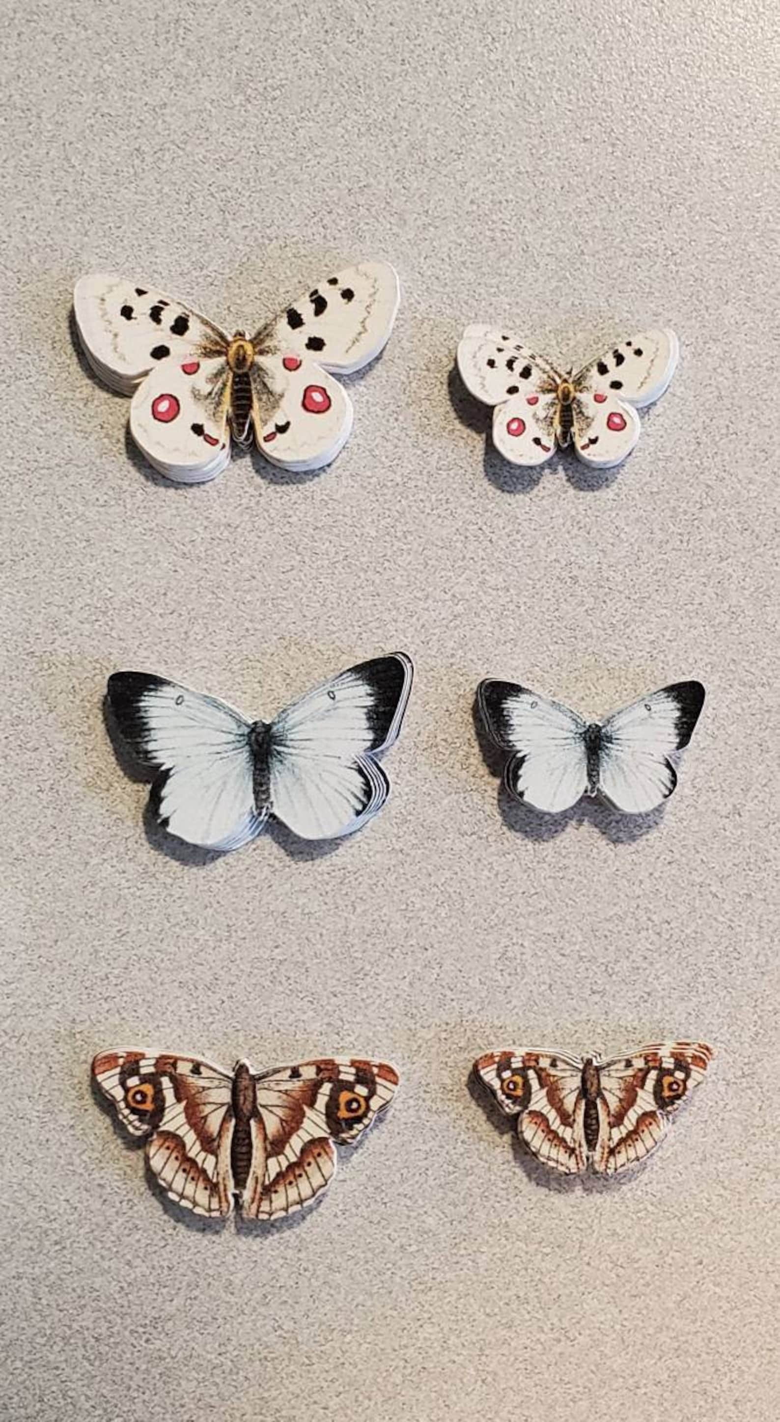 154pc Small Butterfly Die Cuts in Storage Case Etsy