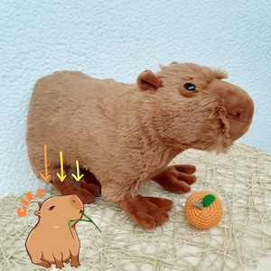 Capybara plush soft toy with orange, Realistic capybara soft toys handmade, Fluffy animal plush capy, Birthday gift plushie animal capybara