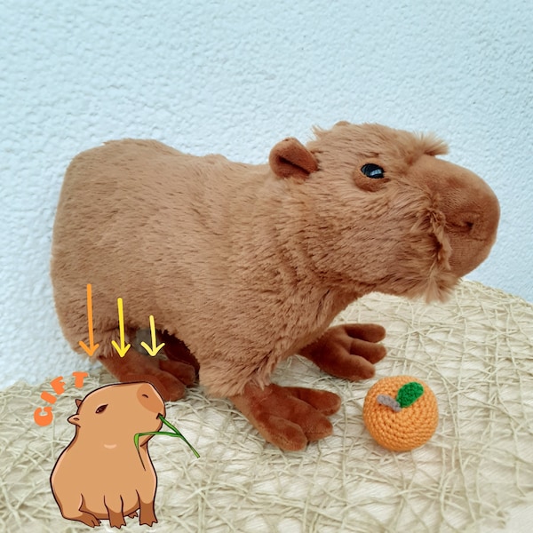 Capybara plush soft toy with orange, Realistic capybara soft toys handmade, Fluffy animal plush capy, Birthday gift plushie animal capybara