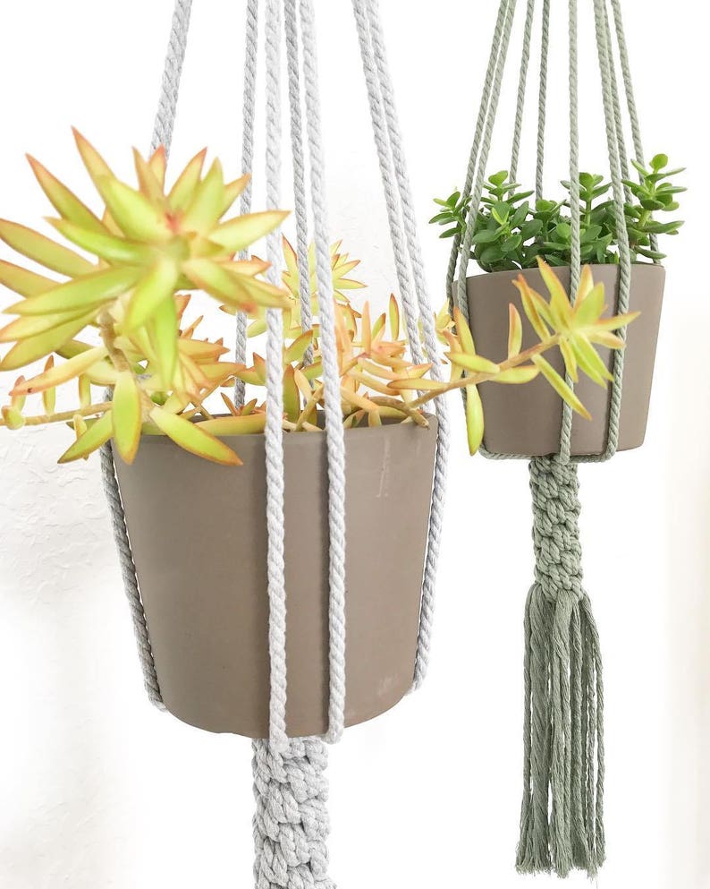 Filament Plant Hangers