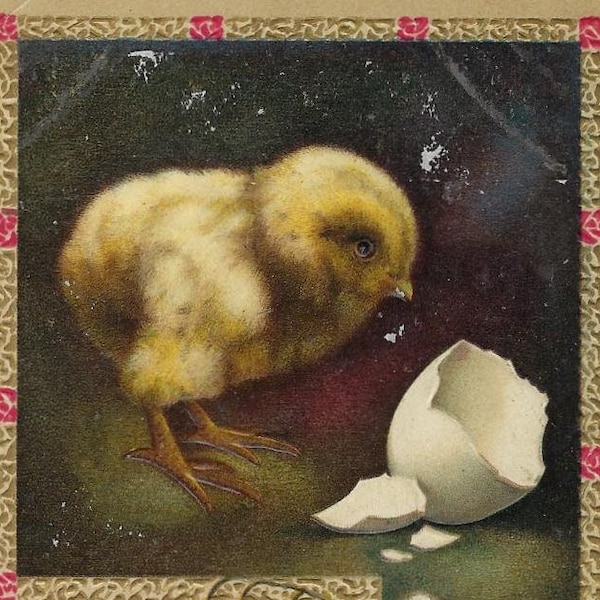 Antique Easter Postcard, Chick and Egg. Edwardian-Era Postcard