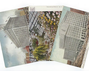 Floral Postcard Gyger Vintage Postcard Daffodils Unused Spring Flowers Ephemera Thor E