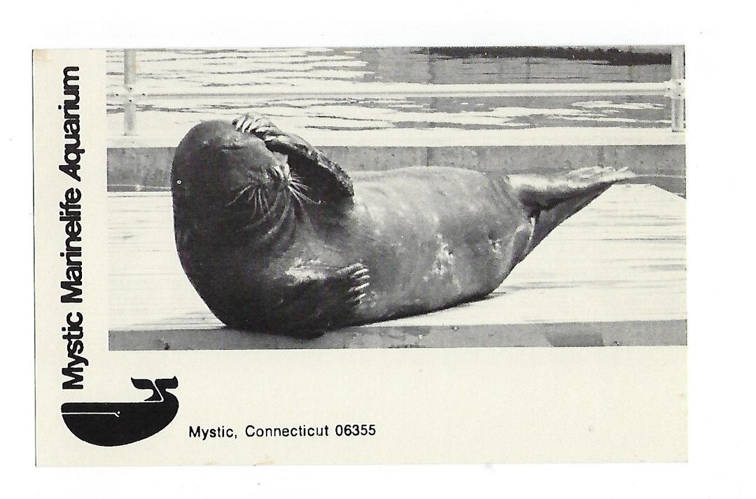 Mystic Marinelife Aquarium, Membership Renewal Postcard, Unused Etsy