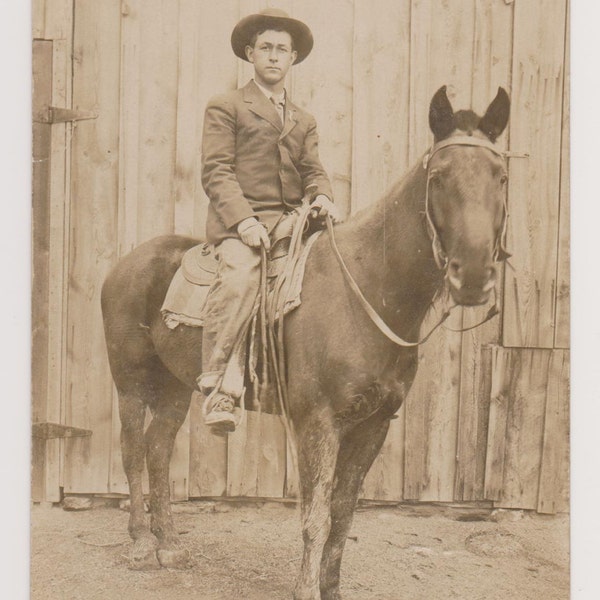 Vintage Real Photo Postcard, Man and Horse, RPPC, Ephemera