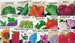 Vintage Seed Packets, Vegetables, Fruits, & Flowers, NO SEEDS INCLUDED, Choose Your Own, Sold Separately