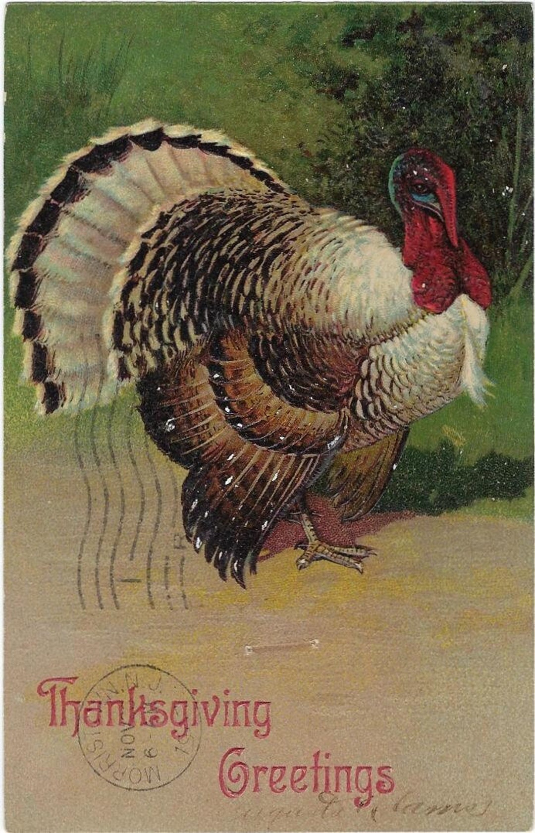 Antique Embossed Postcard Thanksgiving Greetings Turkey - Etsy