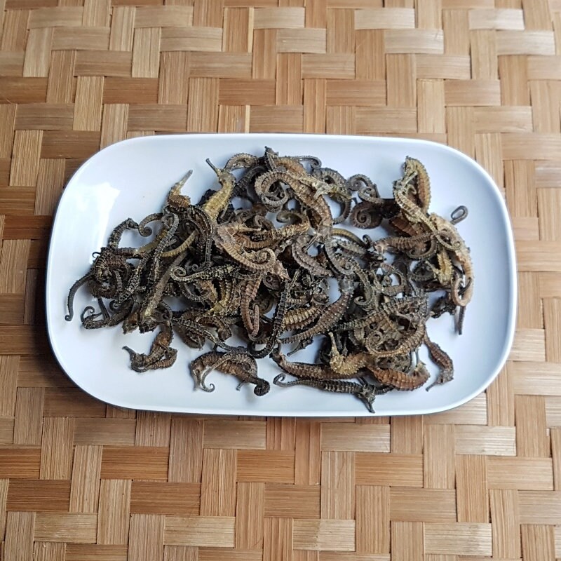 Dried Seahorse Herbal Medicine for Asthma Etsy