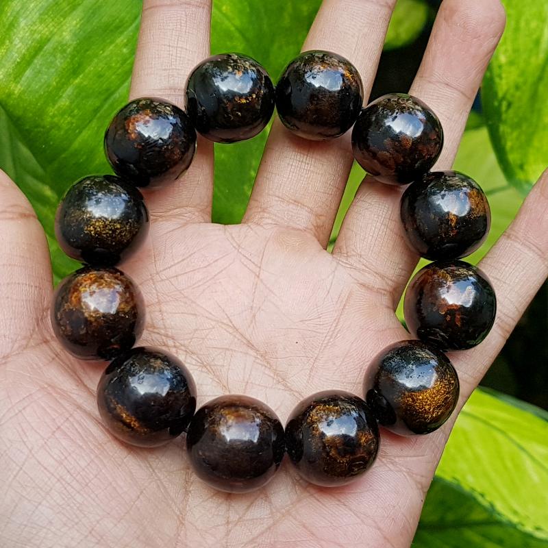 19 MM インドネシア産 ゴールデンブラックコーラル シーウィロー