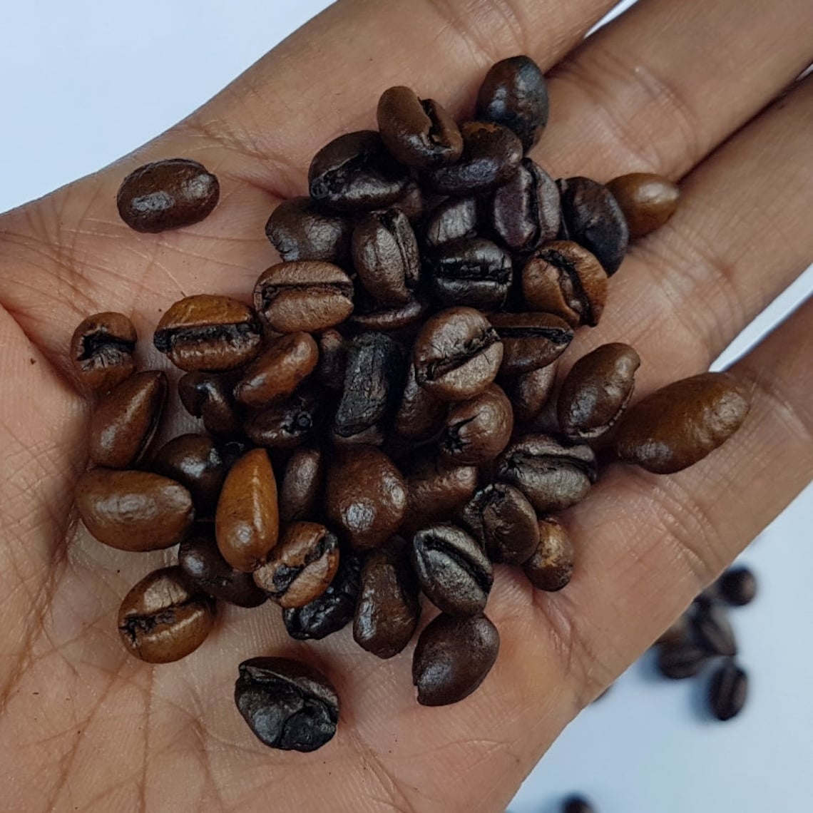 Original Coffee Liberica Indonesia Traditional Jackfruit Etsy