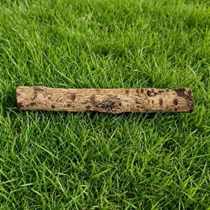 May include: A cylindrical piece of light brown wood with a rough, textured bark surface featuring dark brown spots and natural markings. The object is straight and elongated, displaying a weathered appearance with visible knots and organic patterns.
