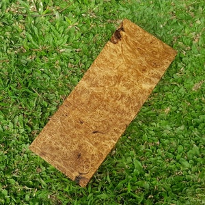 Amboyna Burl Wild Harvest from Indonesia 10.2&quot; x 3.9&quot; x 1.9&quot;