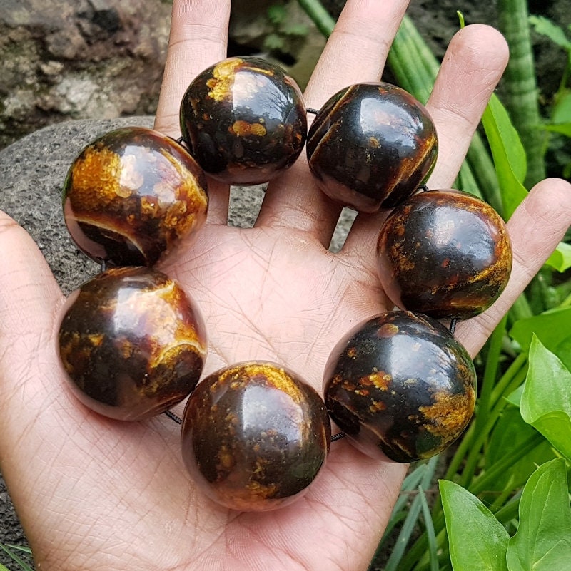 Rare..31-34 MM Genuine Indonesia Golden Black Coral Sea Willow