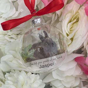 Boule commémorative pour animal de compagnie, boule photo commémorative pour animal de compagnie, cadeau commémoratif, boule personnalisée, boule de Noël, boule en verre