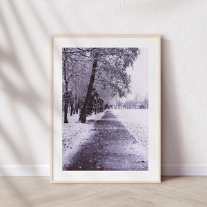 Winter Wonderland Print: Northern Ireland Snow Scene Photography