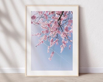 Estampa de flor de cerejeira rosa: Fotografia floral da primavera londrina, decoração para casa