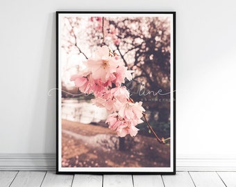 Impressão fotográfica de flores de cerejeira: Arte de parede floral rosa da primavera londrina