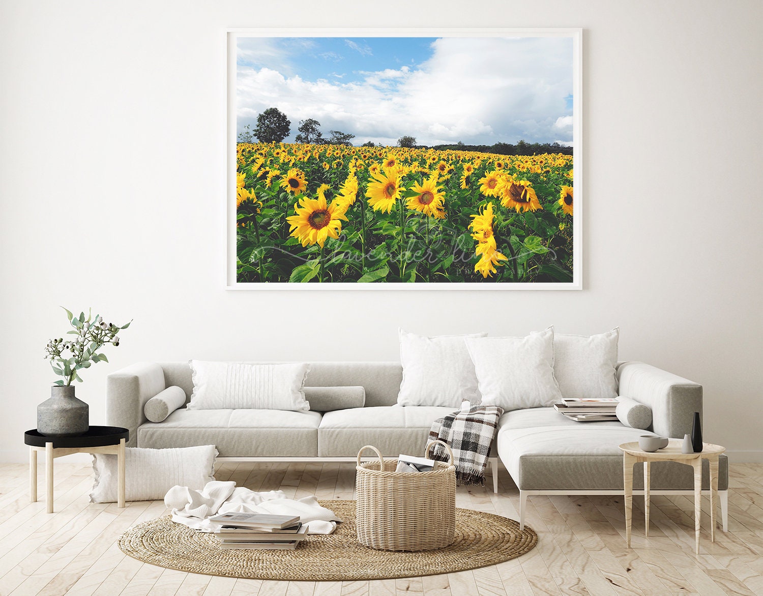 MELLOW YELLOW Colour Photography Print Sunflowers Sunflower - Etsy UK