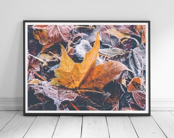 LITTLE RUSTIC MOMENTS | Colour Photography Print | Autumn Leaves | Nature in Fall | Frozen Moments | Autumnal Home Decor | Fall Wall Art