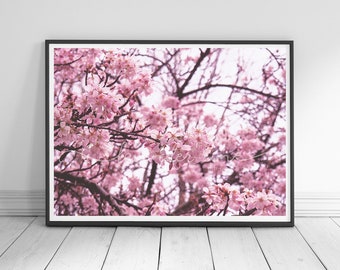 Pink Cherry Blossom Print: London Spring Photography, Floral Wall Art