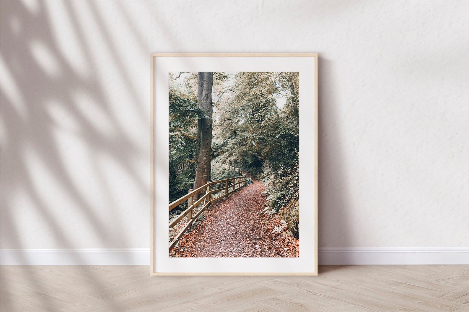 SEPTEMBER DAZE | Colour Photography Print | Nature in Fall | Autumn ...