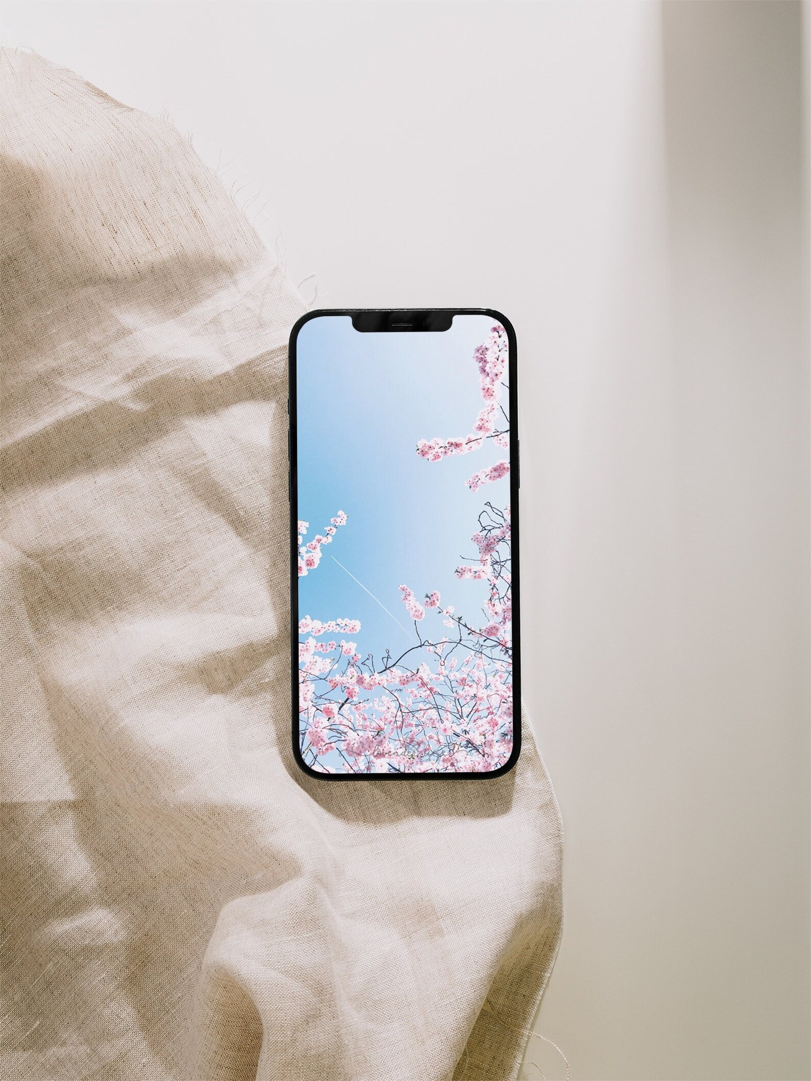 TOUCH OF PINK, Digital Wallpaper Download, Phone Wallpaper, Cherry ...