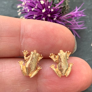 Solid Silver Little frog earrings