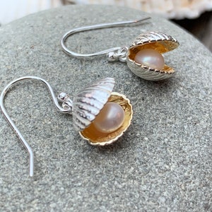 Op de afbeelding: Een paar zilveren oorbellen met een verguld schelpdesign. Elke oorbel heeft een kleine parel in de schelp.