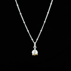 YFN Lezersliefhebber Cadeau Sterling Zilver Boek Ketting