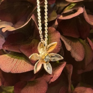 May include: A silver flower pendant necklace with a small, clear gemstone in the centre. The necklace is on a gold chain and is resting on a bed of burgundy-coloured flower petals.
