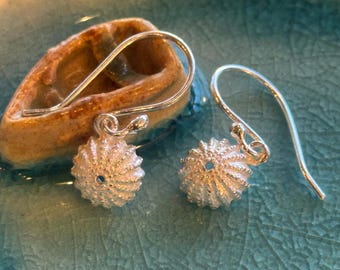 Sea urchin Drop Earrings, Sterling silver shell earrings