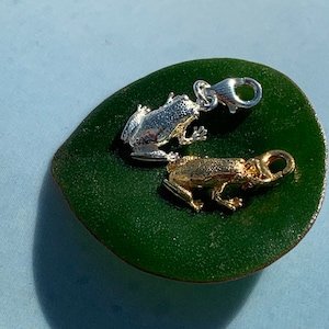 May include: Two frog charms, one silver and one gold, on a green leaf background.
