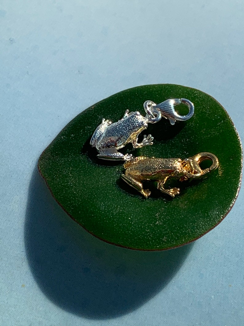 May include: Two frog charms, one silver and one gold, on a green leaf background.
